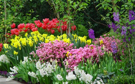 NY Botanical Garden is in full bloom.