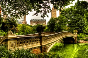 Bow Bridge in Central Park.