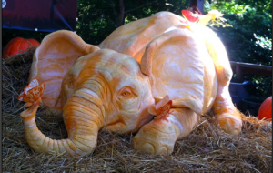 Amazing 3-D pumpkin animals are featured. 